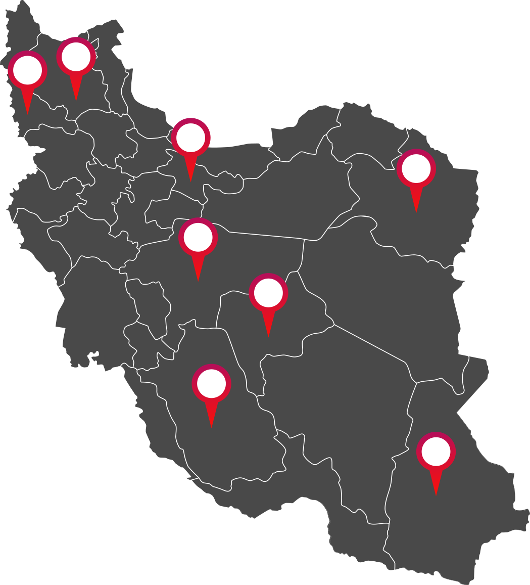 Network of representatives